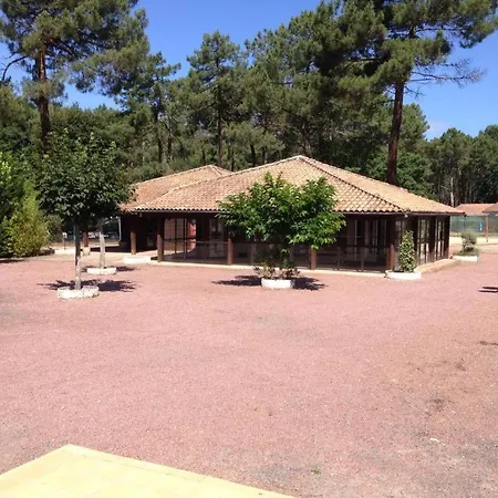 Plenitude Arboree, Khelus Avec Piscine Chalet *